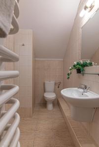 een badkamer met toilet en wastafel bij Boży Dar in Krynica Zdrój