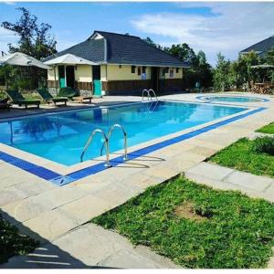 Swimmingpoolen hos eller tæt på The Nelion