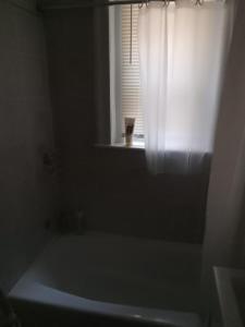 a bathroom with a bath tub and a window at Shared Salem Apt for staying in a bed in Salem