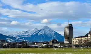 a view of a city with a mountain in the background at Perle Apartment in Interlaken