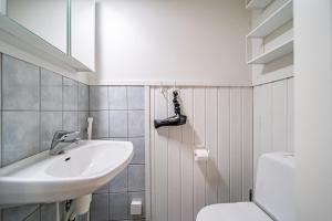 een badkamer met een wastafel en een toilet bij Lomavuokra Kätkäläinen, Levi Central in Levi