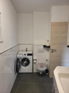 een kleine badkamer met een wasmachine en een toilet bij Ferienhaus Neunkirchen-Daun in Daun