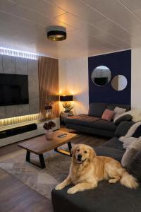 Domácí mazlíčci ubytovaní s hosty v ubytování Luxury Apartment near Munich Airport - Therme ED - Parking - Haustiere