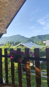 Naturlandskabet i nærheden af lejligheden