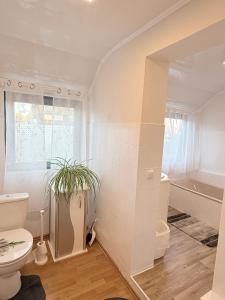 une salle de bain avec des toilettes et une plante dedans dans l'établissement Fichtenblick, à Selb