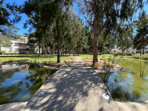 een vijver in een park met bomen en een trottoir bij Cómodo Depto en bosques de la candelaria in Algarrobo