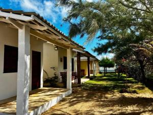 a house with a palm tree next to a yard at Moreira's paradise in Taíba +30 photos