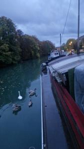 Naturlandskabet i nærheden af bed and breakfast-stedet + 4 billeder