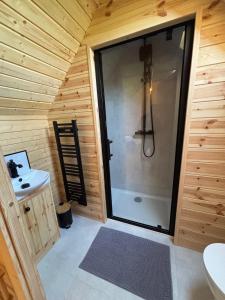 een badkamer met een douche in een houten cabine bij Press Brook Park in Clay Cross +30 foto's