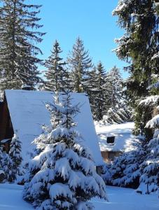 a snow covered tree in front of a house at Vikendica Luna in Gornja Šišava