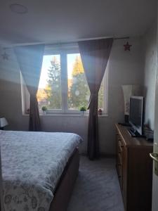 a bedroom with a bed and a television and a window at Apartman Zlaja Vlašić in Vlasic