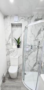 een witte badkamer met toilet en douche bij One Old Creamery in Sandhead