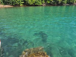 Phong cảnh thiên nhiên gần thuyền