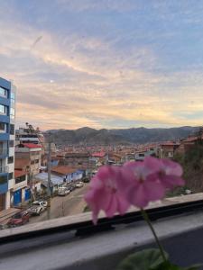 a purple flower sitting on a window sill with a city at Inca Town In in Cusco