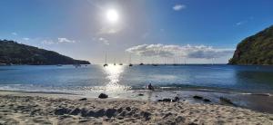 una persona in piedi su una spiaggia con barche in acqua di La petite campagne a Le Moule