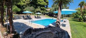 een zwembad met twee parasols en een zwembad bij Seaside studio with swimming pool & parking #2 in Kassandria +17 foto's