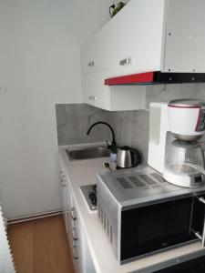 eine kleine Küche mit Mikrowelle und Spüle in der Unterkunft Seba in Jugów