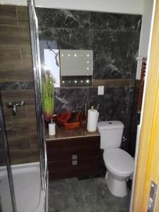 ein Badezimmer mit Toilette, Waschbecken und Dusche in der Unterkunft Seba in Jugów