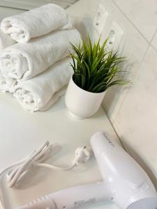 a bathroom counter with towels and a plant at LUMI Living in Schlüsselfeld +13 photos