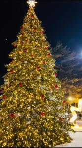 a large christmas tree is lit up at night at Shgedi Mestia in Mestia