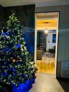 a christmas tree with blue lights in a living room at Shgedi Mestia in Mestia