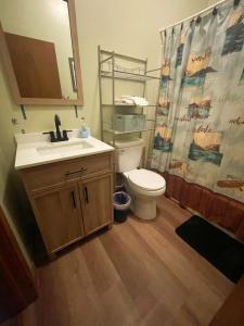 un bagno con un water, un lavandino e una tenda da doccia di Cabin in the pines a Tamworth