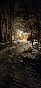 una casa nella neve di notte con le luci di Cabin in the pines a Tamworth