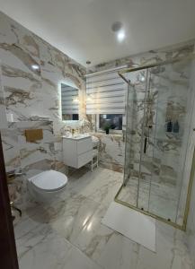 un bagno con doccia, WC e lavandino di Simona House a Šiauliai
