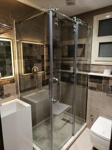 een douche met een glazen deur in een badkamer bij Pyrs Giza Heaven in Caïro