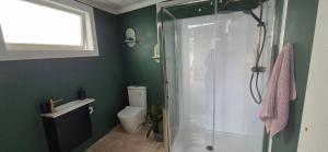 a bathroom with a shower and a toilet at Hidden gem cheap and affordable in Te Kopuru +13 photos