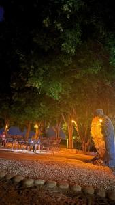 een groep tafels en stoelen in een park 's nachts bij ArabTribe in Margham