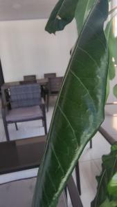 Ảnh trong thư viện ảnh của Hospedaje Luz de Cite ở Cite