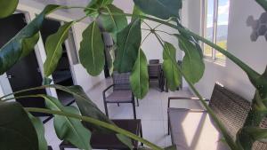 Ảnh trong thư viện ảnh của Hospedaje Luz de Cite ở Cite +7 ảnh