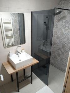 een badkamer met een wastafel en een douche bij Vila Bosa - Stara planina in Crni Vrh