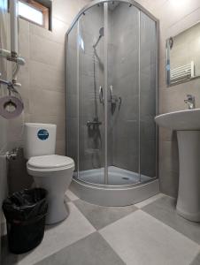 a bathroom with a shower and a toilet and a sink at Favourite in Sighnaghi +59 photos