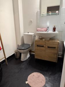 une salle de bains avec toilettes et lavabo dans l'établissement Le cocon chic, à Montereau-faut-Yonne