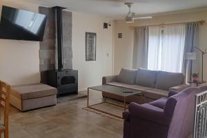 een woonkamer met een bank en een tv bij Arrabal.Tupungato in Tupungato