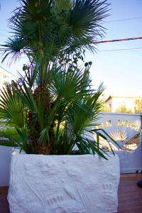 Ban công/sân hiên tại Ilio Boutique Swim Up Rooms