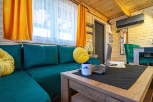 a living room with a couch and a laptop on a table at Ustronne Karkonosze in Miłków