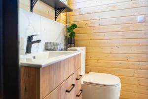 a bathroom with a sink and a toilet at Ustronne Karkonosze in Miłków +28 photos