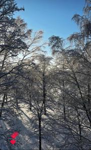 Loft Style Vibe trong mùa đông