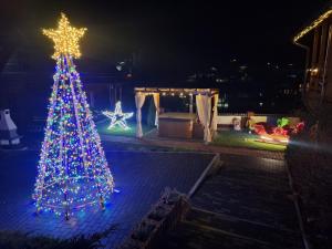 ein Weihnachtsbaum mit Lichtern in einem Hof bei Nacht in der Unterkunft DOMKI NA WCZASOWEJ in Szczyrk