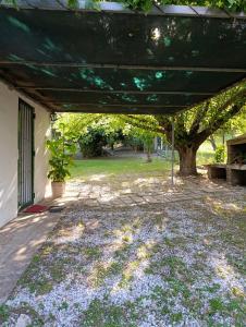 une terrasse couverte avec un arbre dans le jardin dans l'établissement Casa en centro de Icho Cruz, à Villa Icho Cruz 4 autres photos