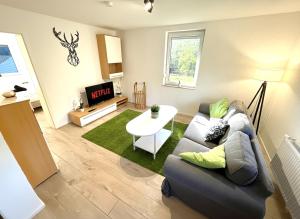 TV a/nebo společenská místnost v ubytování Natur-Apartment am Großen Arber Netflix WIFI