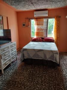 Billede fra billedgalleriet på Content Guest House i Ocho Rios