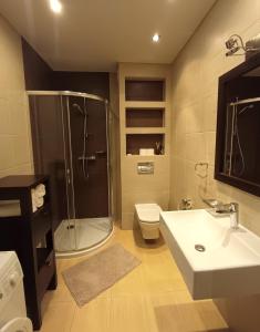 a bathroom with a shower and a toilet and a sink at Apartament WENGE w centrum Ustronia in Ustroń