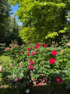 Zahrada ubytování Bei der Villa Doppelzimmer
