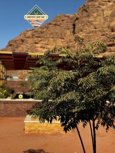 a tree in front of a building with a mountain at Moon Desert Luxury Camp in Wadi Rum