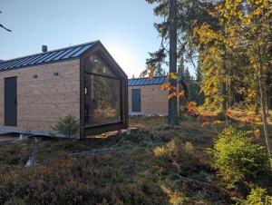 une petite maison avec une façade en verre dans une forêt dans l'établissement Arctic Nest, à Kotila