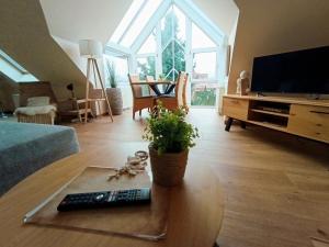 Et tv og/eller underholdning på FeWo - SEEnsucht am Zwenkauer See